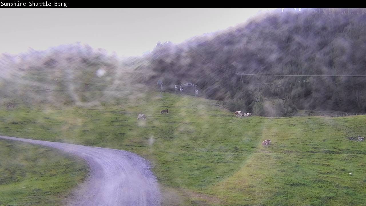 Archiv Foto Webcam Shuttleberg bei Flachauwinkl-Kleinarl