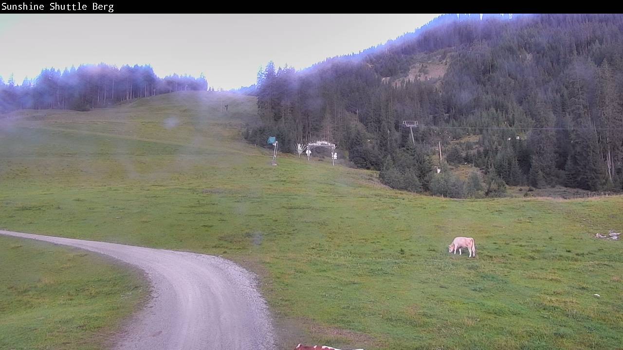 Archiv Foto Webcam Shuttleberg bei Flachauwinkl-Kleinarl