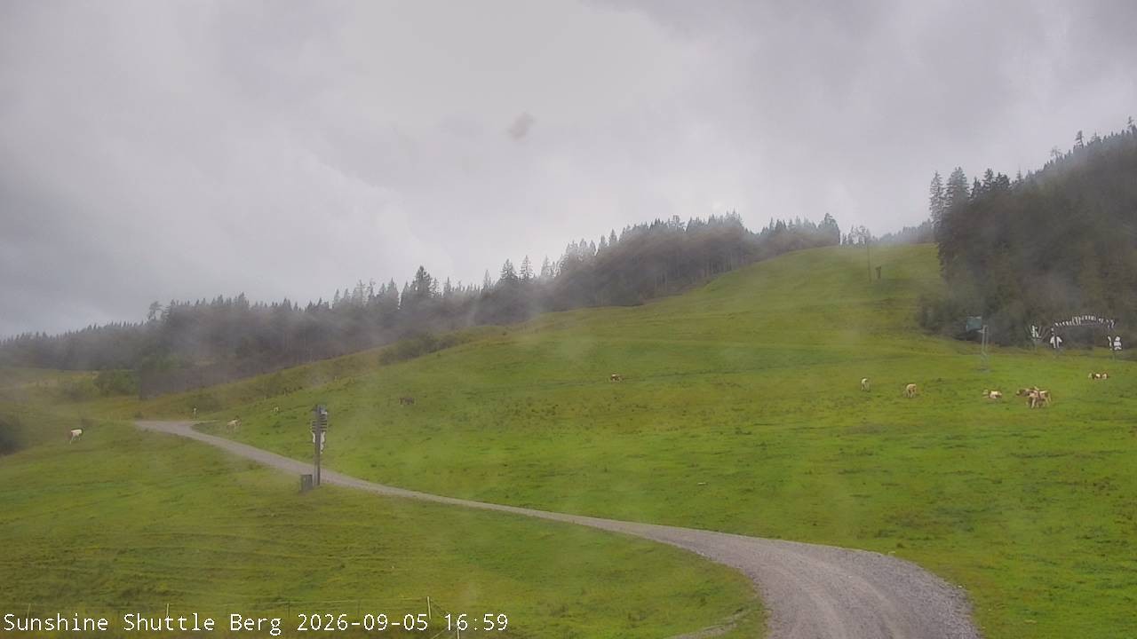 Archiv Foto Webcam Shuttleberg bei Flachauwinkl-Kleinarl