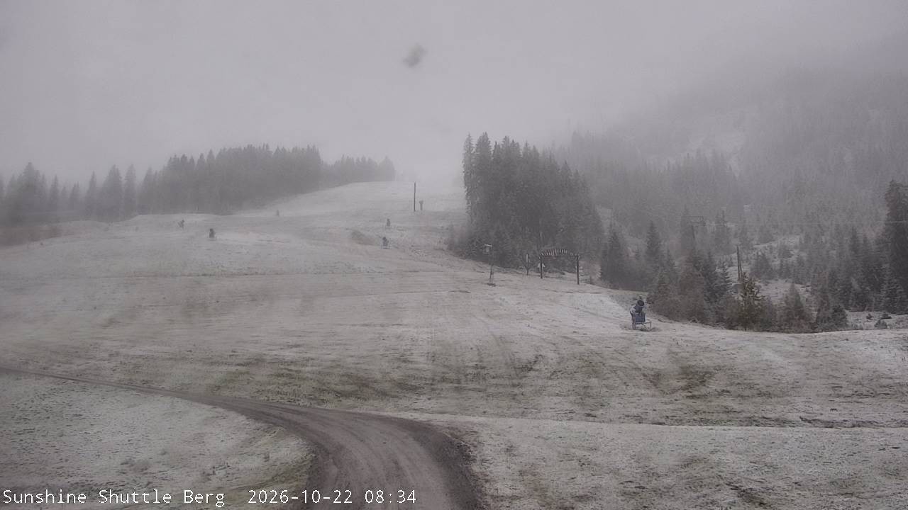 Archived image Webcam Shuttleberg in Flachauwinkl-Kleinarl