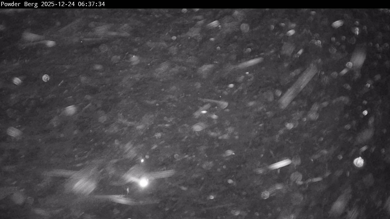 Archiv Foto Webcam Flachauwinkl-Kleinarl: Bergstation Powder Shuttle