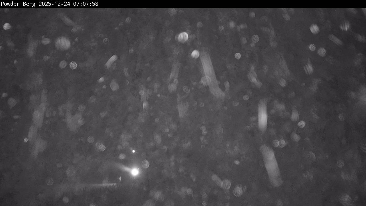 Archiv Foto Webcam Flachauwinkl-Kleinarl: Bergstation Powder Shuttle