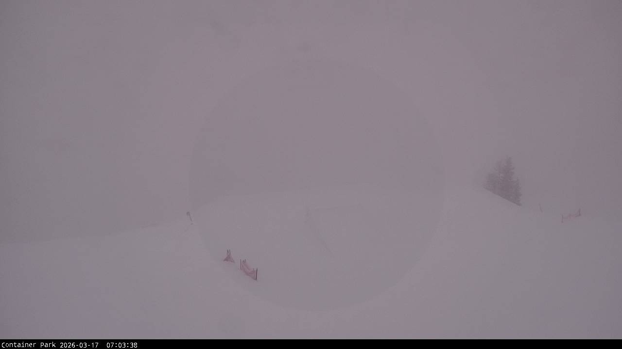 Archiv Foto Webcam Flachauwinkl-Kleinarl, Salzburger Land