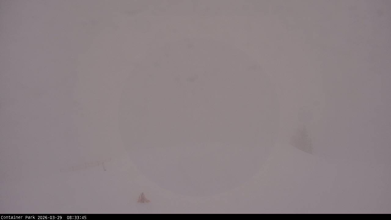 Archiv Foto Webcam Flachauwinkl-Kleinarl, Salzburger Land