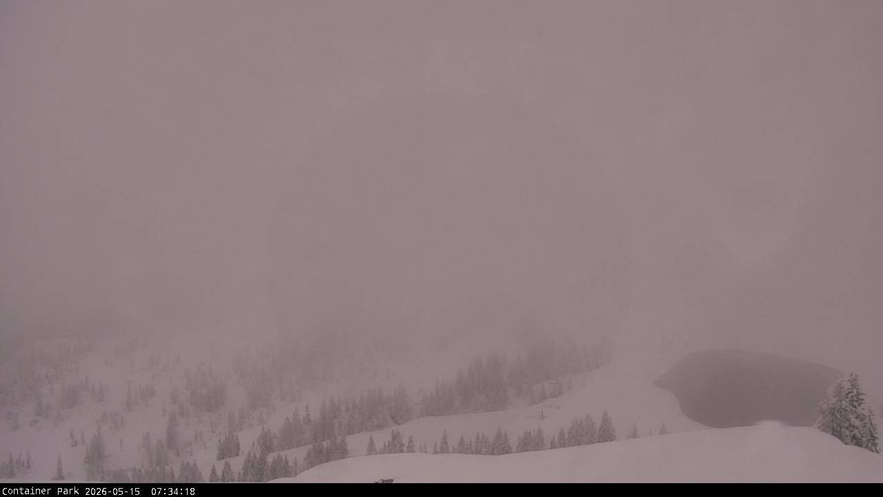 Archiv Foto Webcam Flachauwinkl-Kleinarl, Salzburger Land