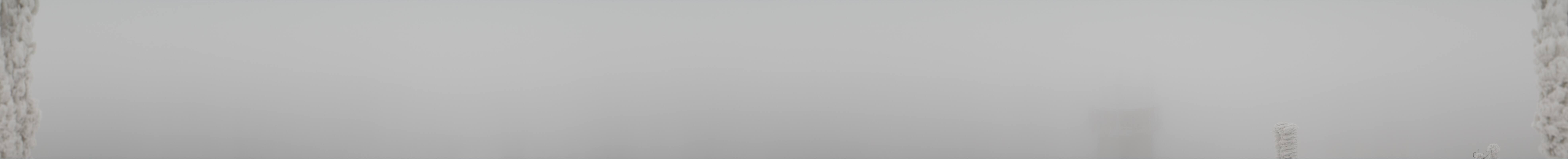 Archiv Foto Webcam Schneekopf Gipfel in Thüringen