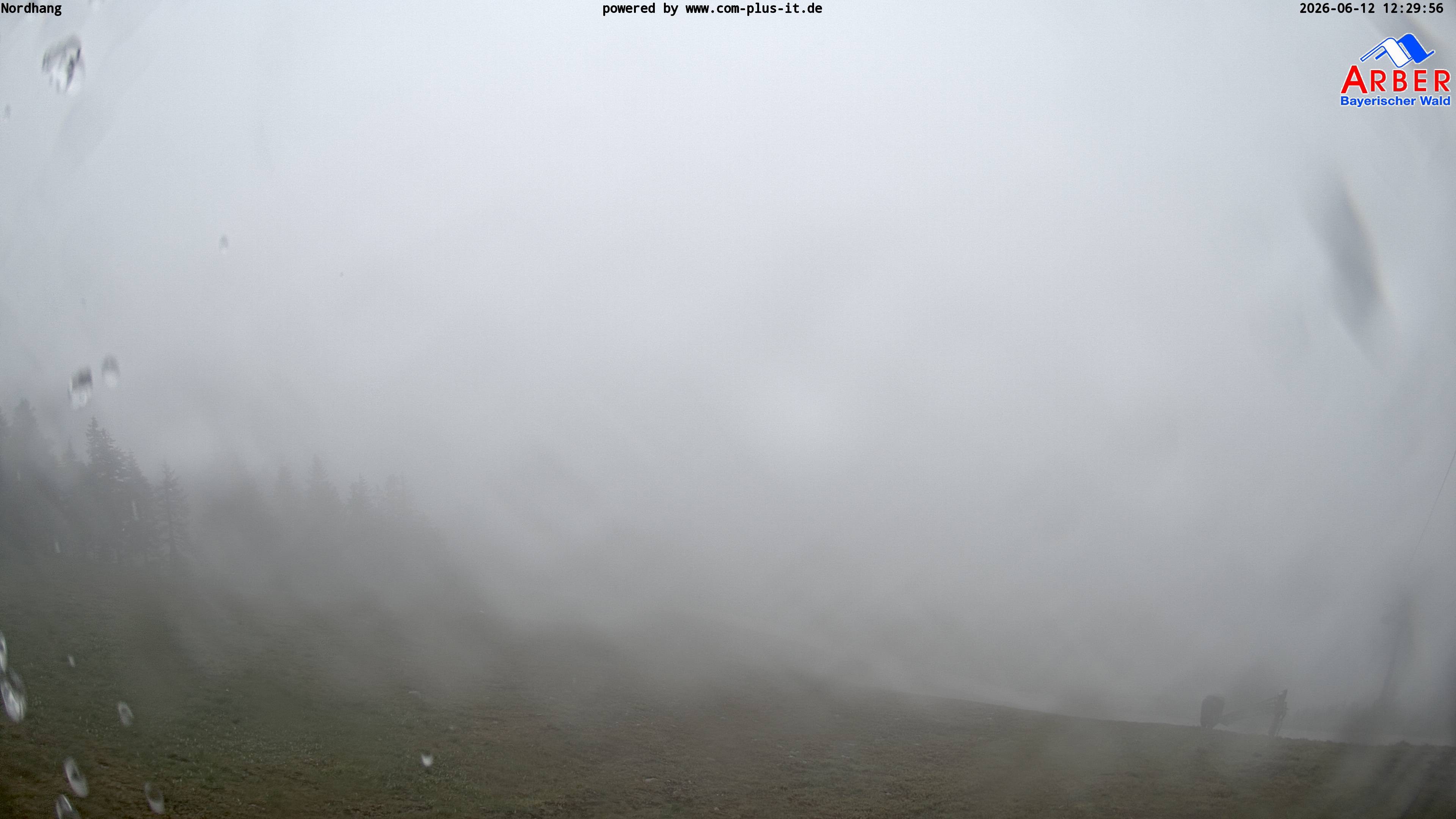 Archived image Webcam View from the Großer Arber