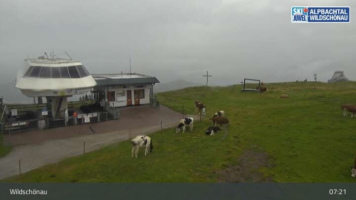 Archiv Foto Webcam Bergstation Markbachjoch, Wildschönau