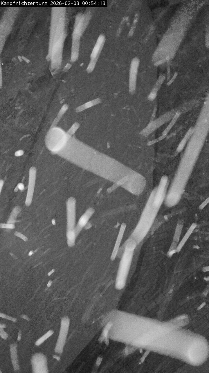 Archiv Foto Webcam Willingen: Auslauf Mühlenkopfschanze