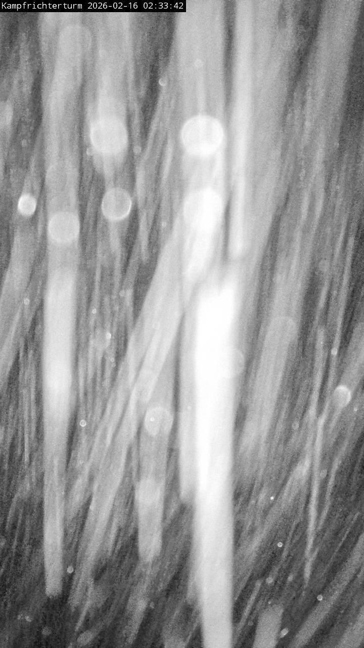 Archiv Foto Webcam Willingen: Auslauf Mühlenkopfschanze