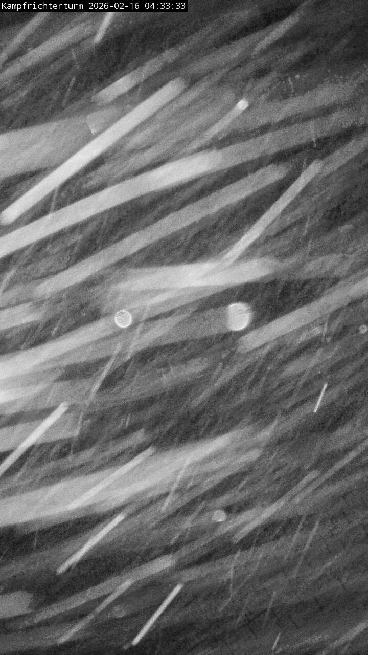 Archiv Foto Webcam Willingen: Auslauf Mühlenkopfschanze