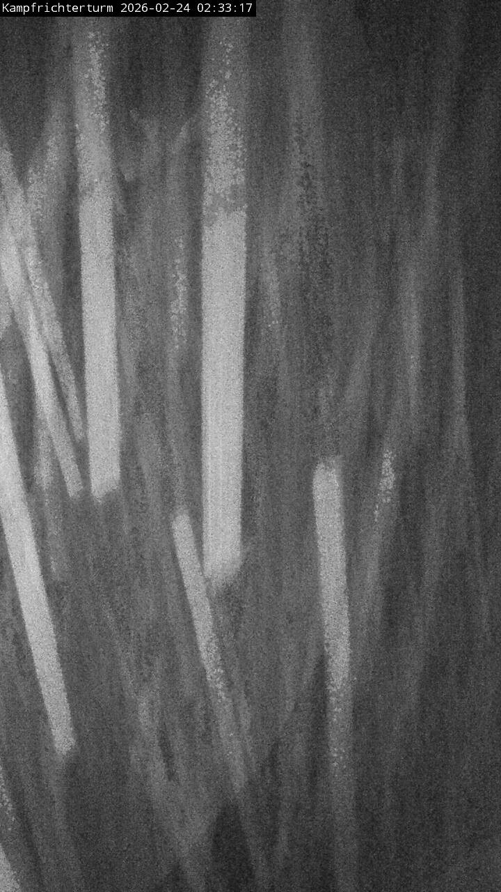 Archiv Foto Webcam Willingen: Auslauf Mühlenkopfschanze