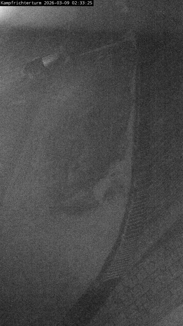 Archiv Foto Webcam Willingen: Auslauf Mühlenkopfschanze