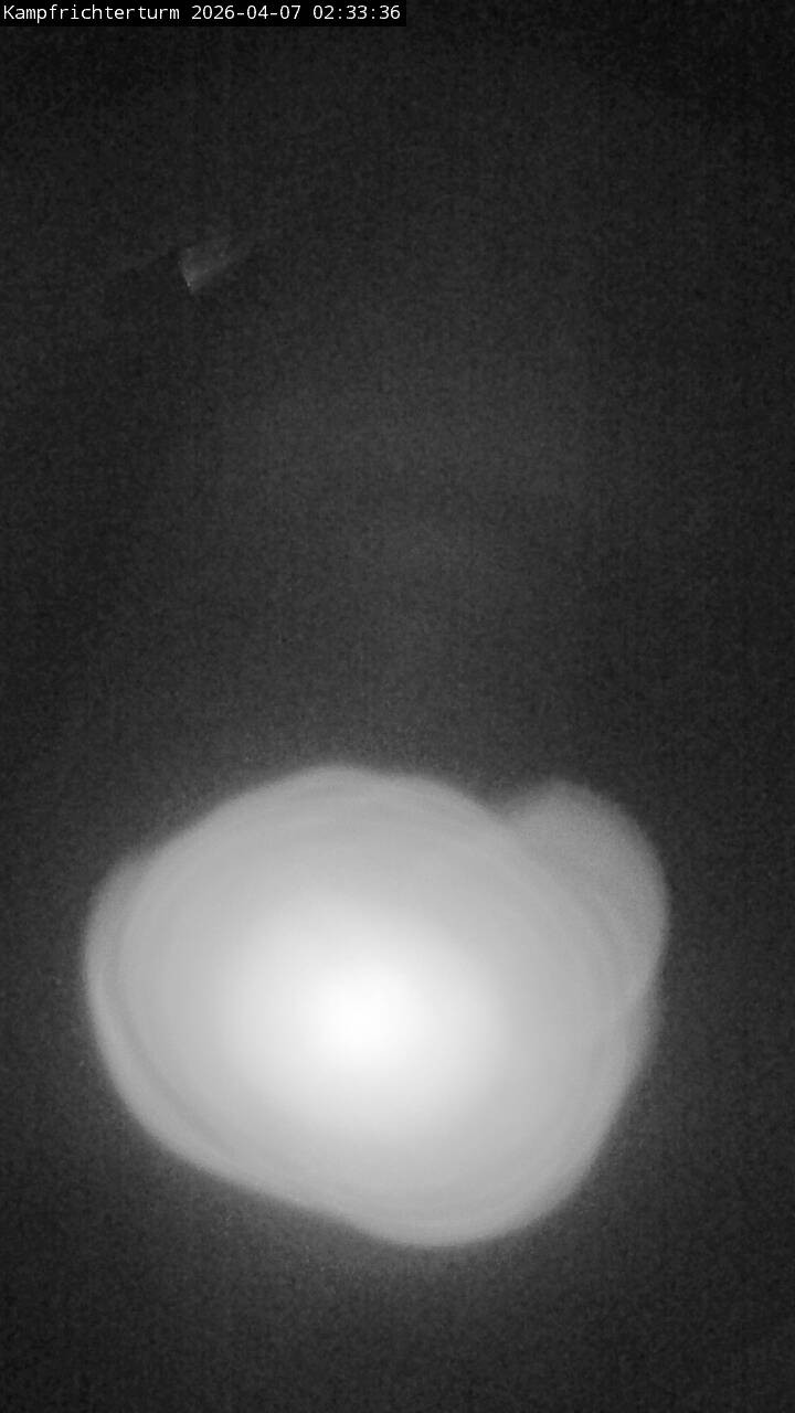 Archiv Foto Webcam Willingen: Auslauf Mühlenkopfschanze