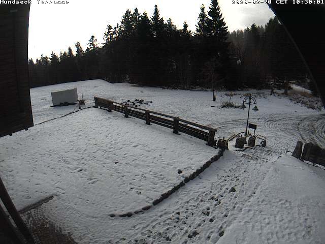 Archiv Foto Webcam Bühlertallift Hundseck - Terrasse
