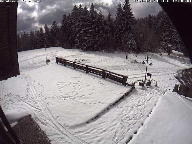 Archiv Foto Webcam Bühlertallift Hundseck - Terrasse