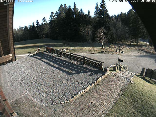 Archiv Foto Webcam Bühlertallift Hundseck - Terrasse