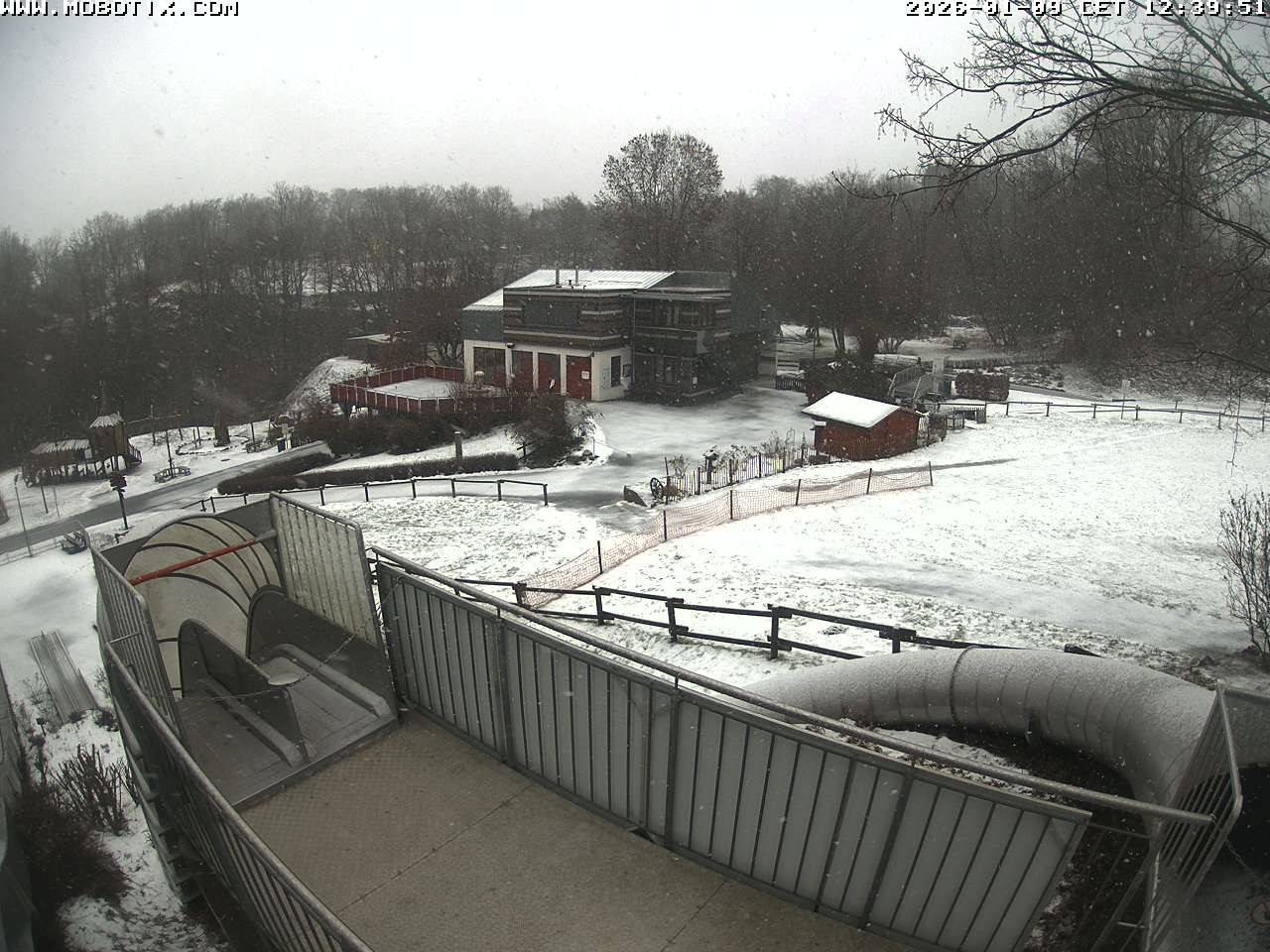 Archived image Webcam Coaster at Peterberg