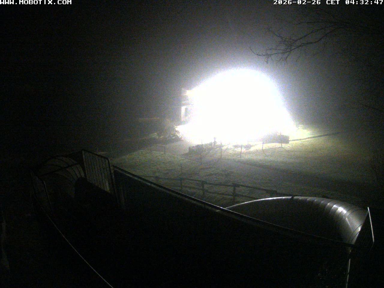 Archived image Webcam Coaster at Peterberg