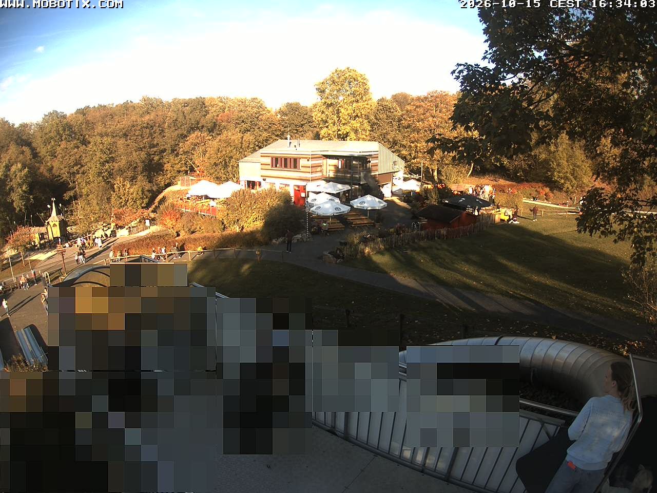 Archiv Foto Webcam Sommerrodelbahn und Freizeitzentrum Peterberg