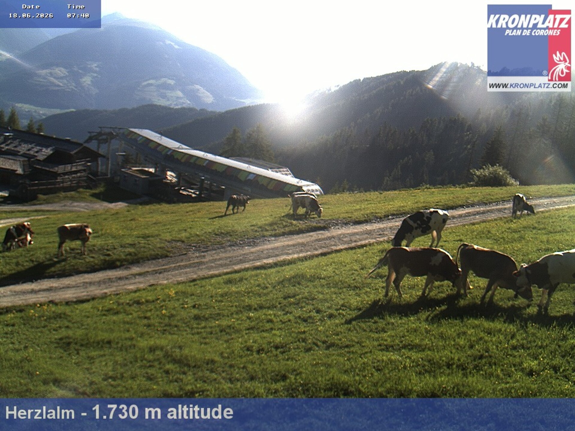 Archived image Webcam Alp Herzlalm, Plan De Corones
