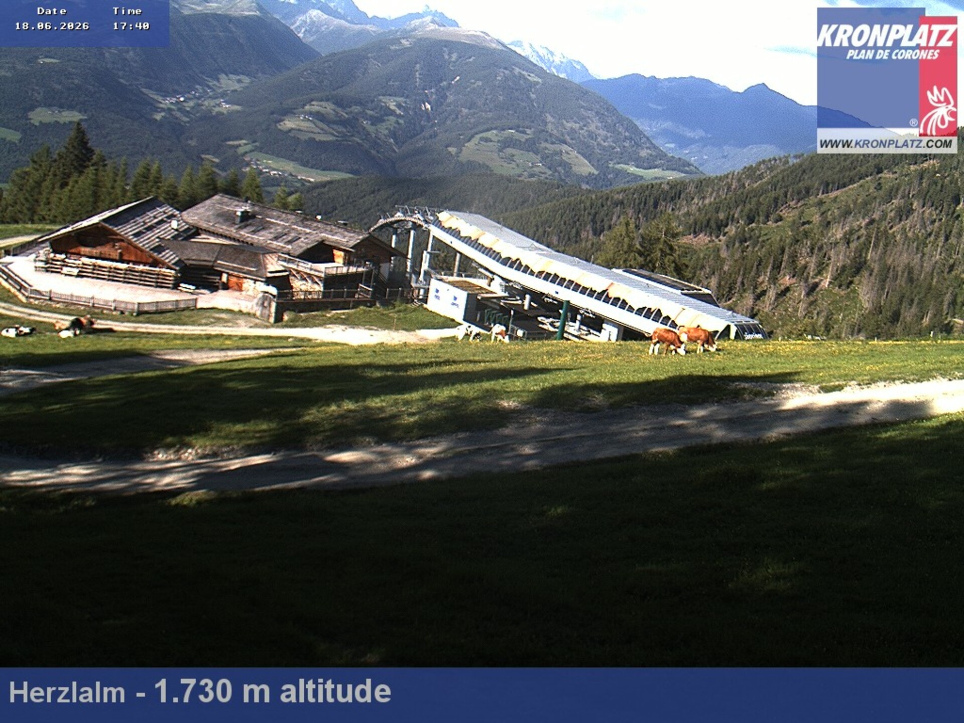 Archived image Webcam Alp Herzlalm, Plan De Corones