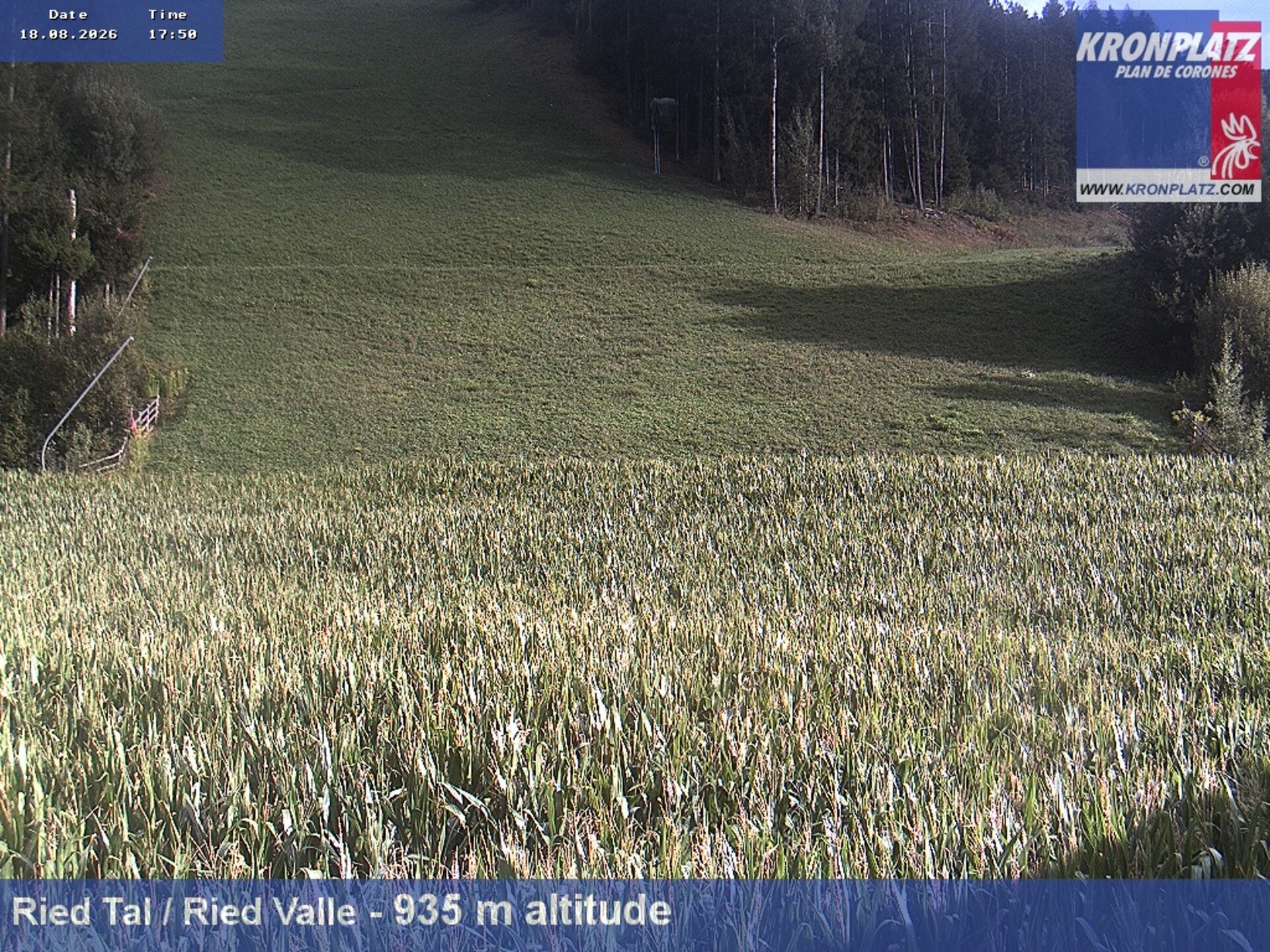 Archiv Foto Webcam Ried Tal, Kronplatz