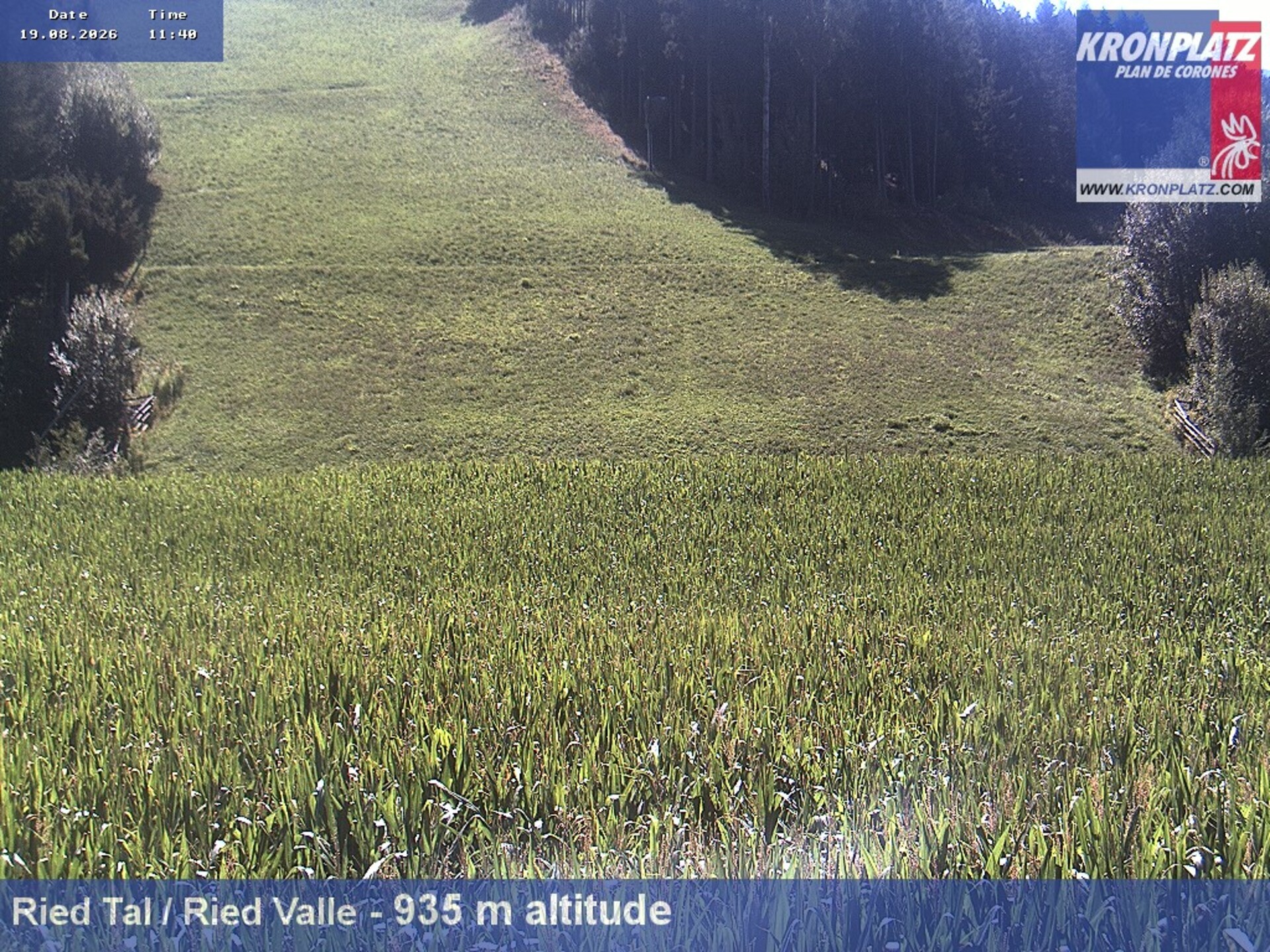 Archived image Webcam Ried Valley, Plan De Corones