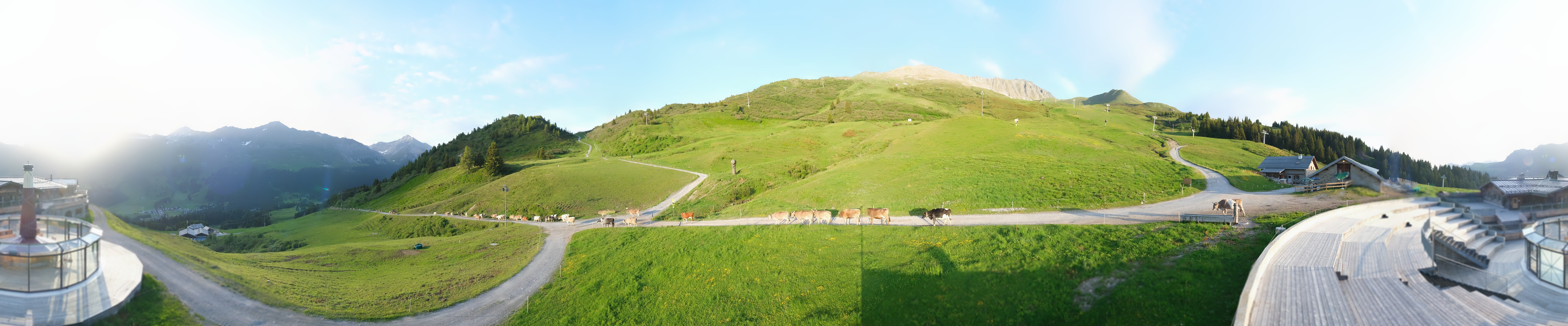 Archiv Foto Webcam Bergrestaurant Alp Stätz Lenzerheide