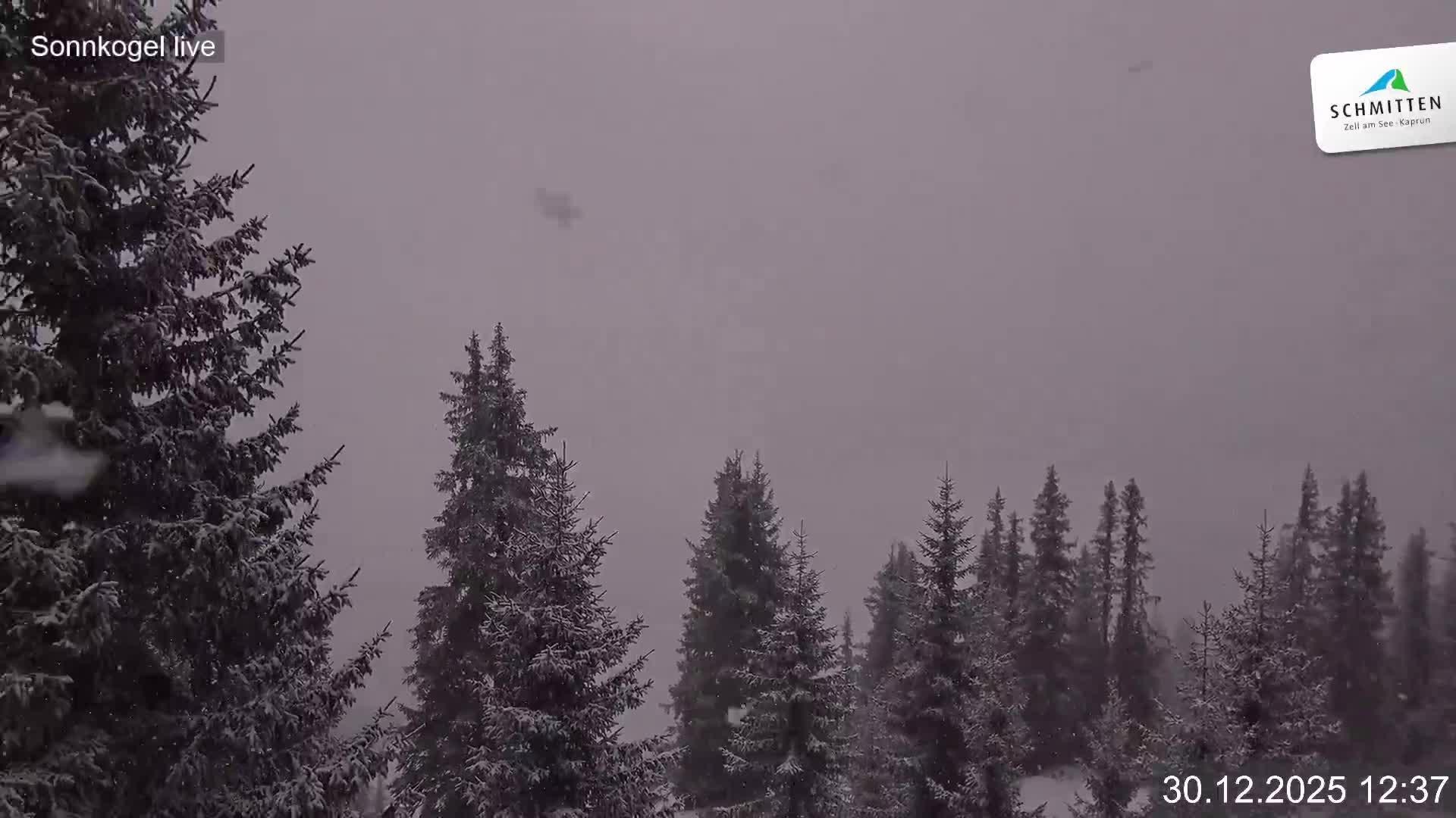 Archiv Foto Webcam Schmitten: Restaurant und Spielplatz Sonnkogel