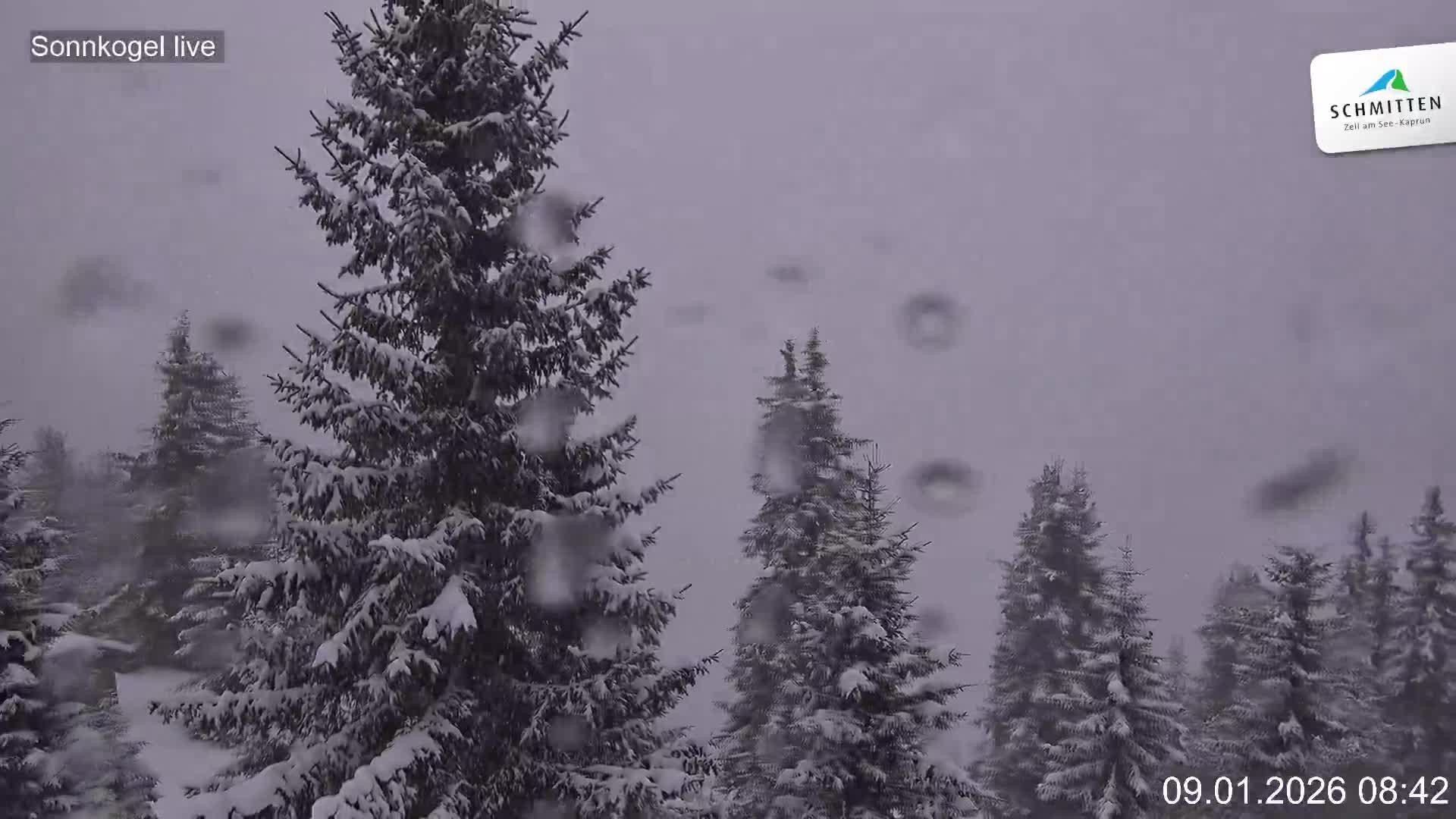 Archiv Foto Webcam Schmitten: Restaurant und Spielplatz Sonnkogel