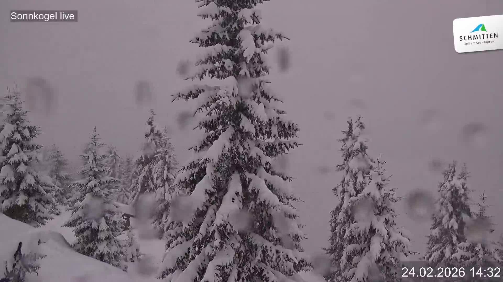 Archiv Foto Webcam Schmitten: Restaurant und Spielplatz Sonnkogel