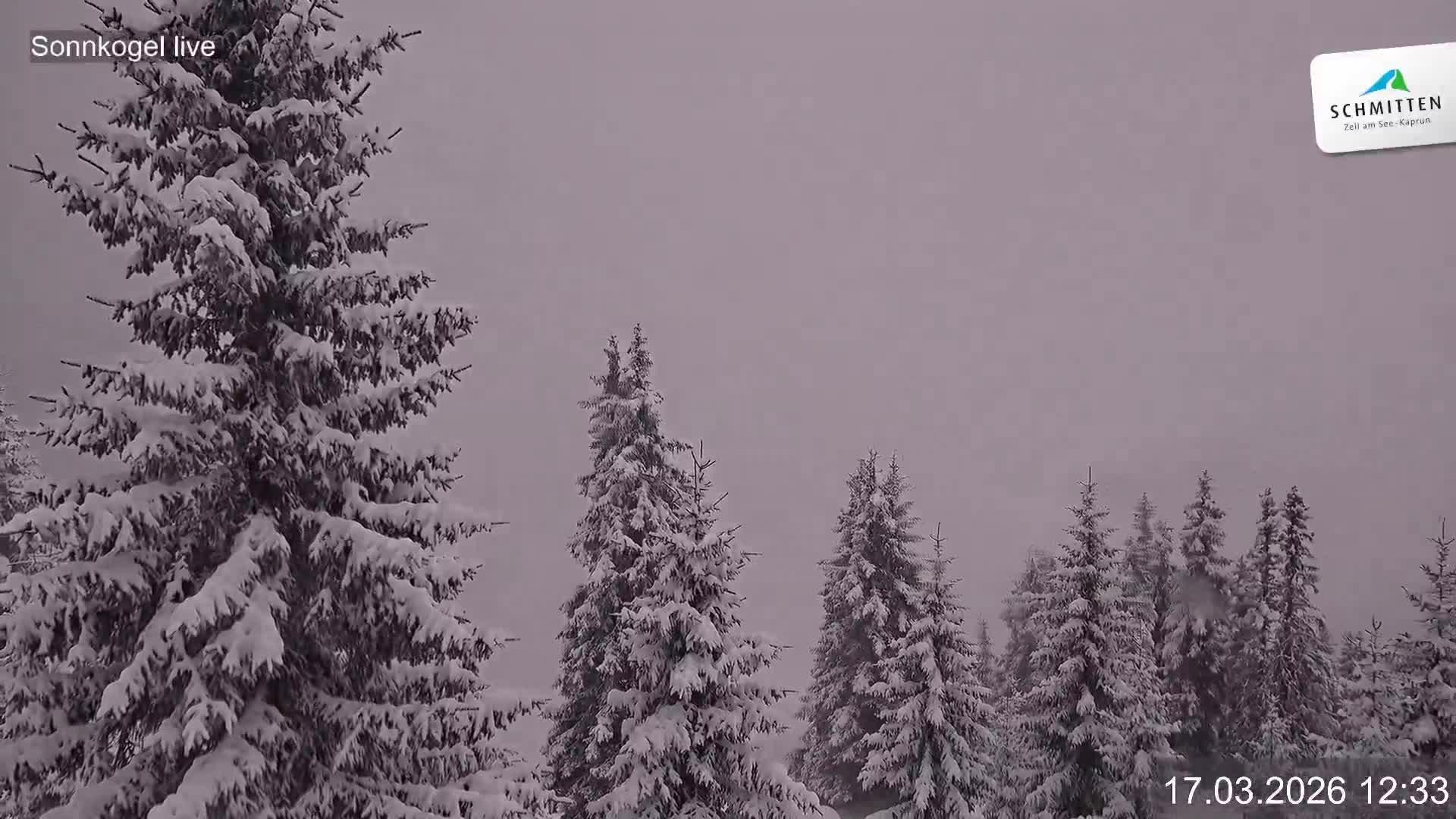 Archived image Webcam Schmitten: Sonnkogel playground