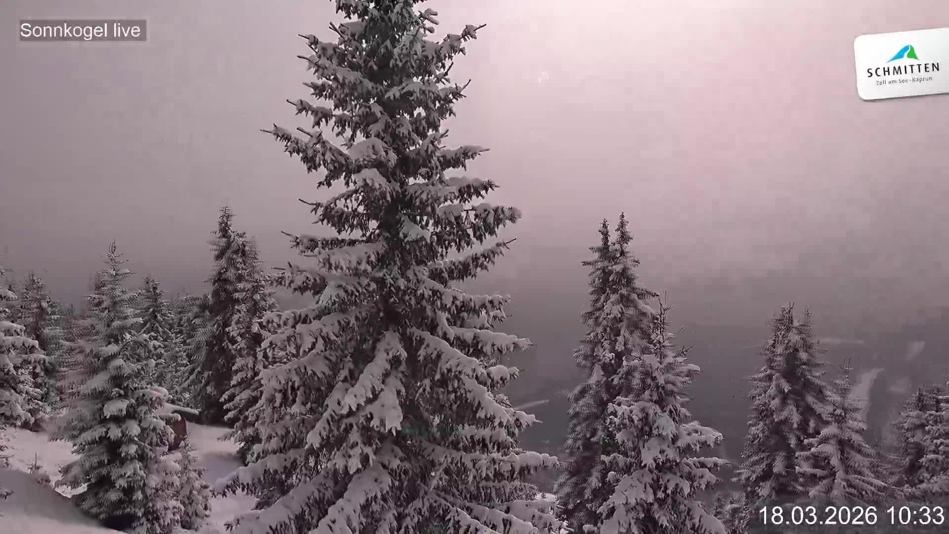 Archiv Foto Webcam Schmitten: Restaurant und Spielplatz Sonnkogel