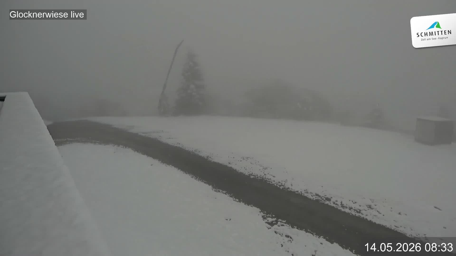 Archiv Foto Webcam Schmittenhöhe: Blick auf die Glocknerwiese