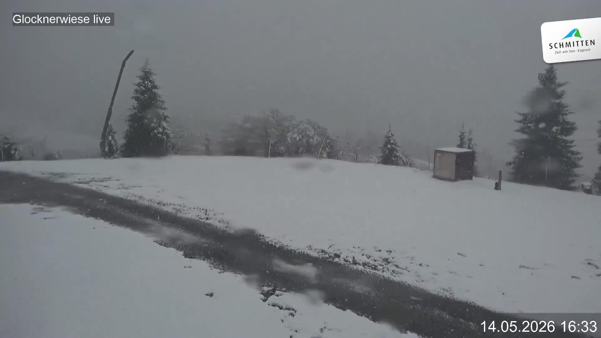 Archiv Foto Webcam Schmittenhöhe: Blick auf die Glocknerwiese