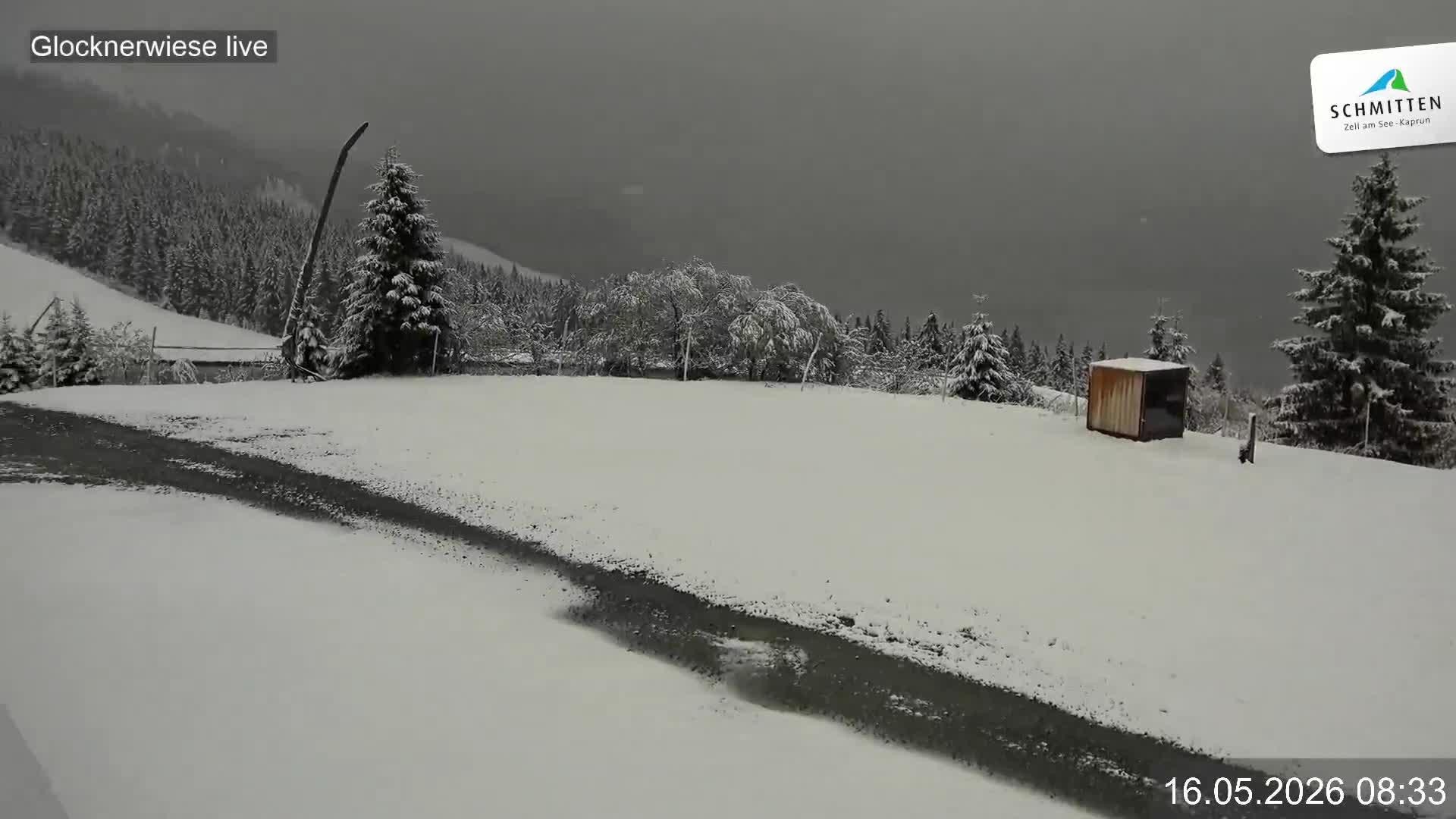 Archiv Foto Webcam Schmittenhöhe: Blick auf die Glocknerwiese