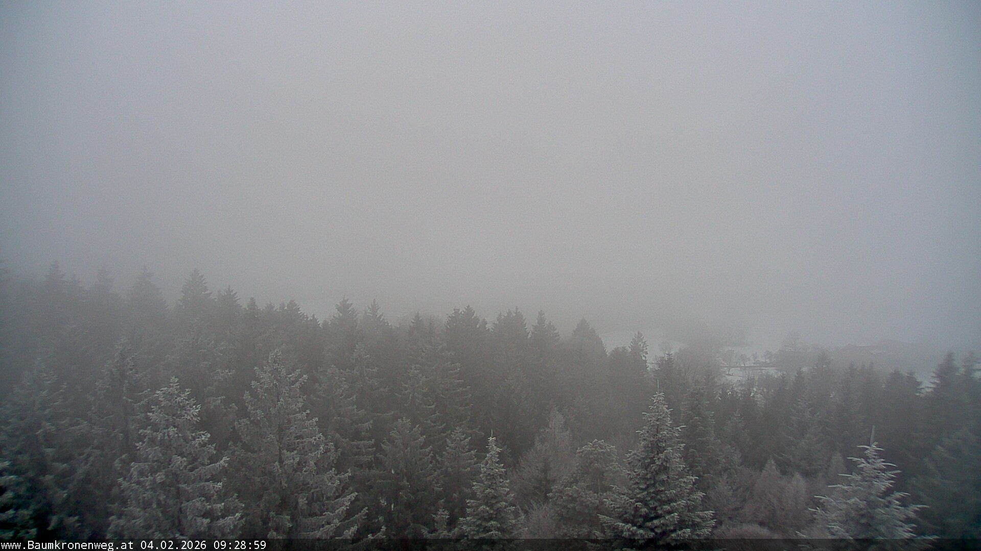 Archiv Foto Webcam Erlebnisturm Baumkronenweg Kopfing