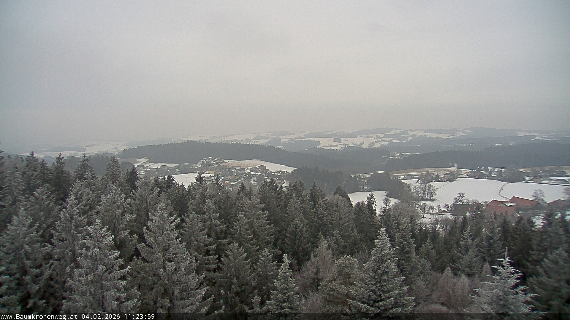 Archiv Foto Webcam Erlebnisturm Baumkronenweg Kopfing