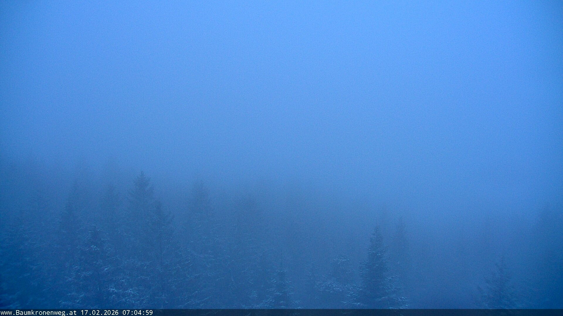 Archiv Foto Webcam Erlebnisturm Baumkronenweg Kopfing