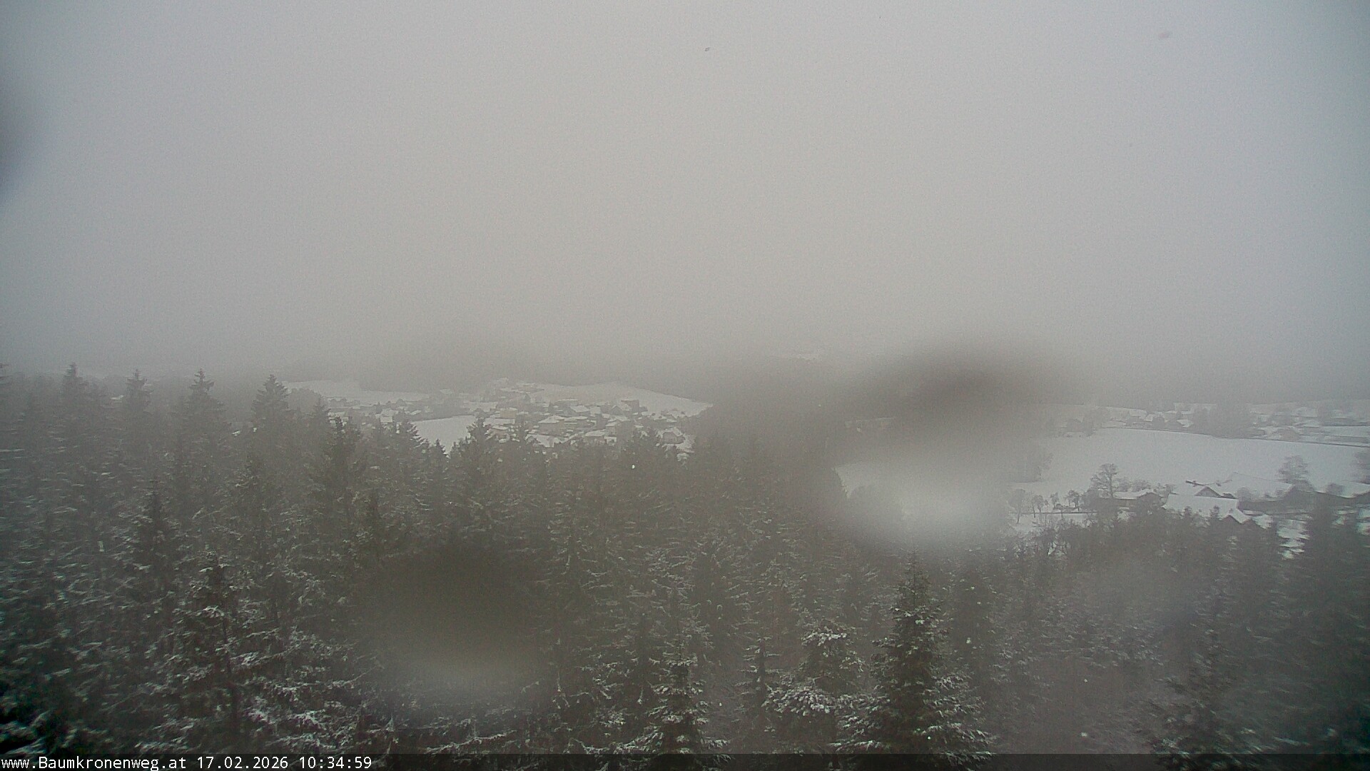 Archiv Foto Webcam Erlebnisturm Baumkronenweg Kopfing