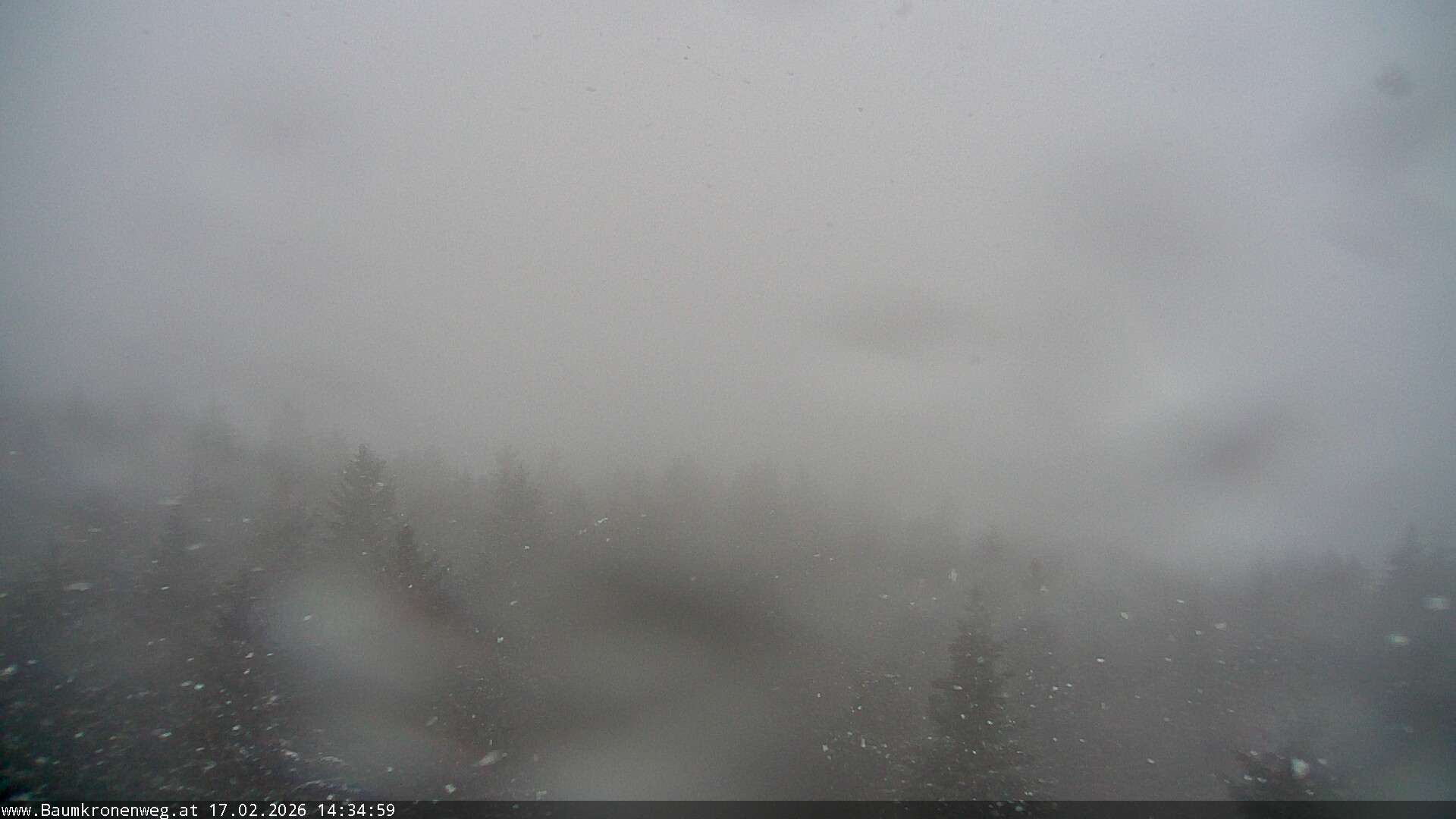 Archiv Foto Webcam Erlebnisturm Baumkronenweg Kopfing