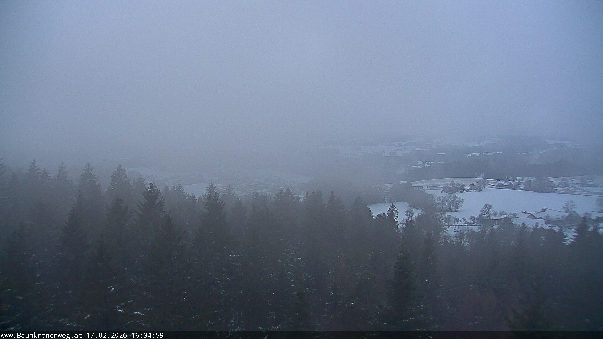 Archiv Foto Webcam Erlebnisturm Baumkronenweg Kopfing