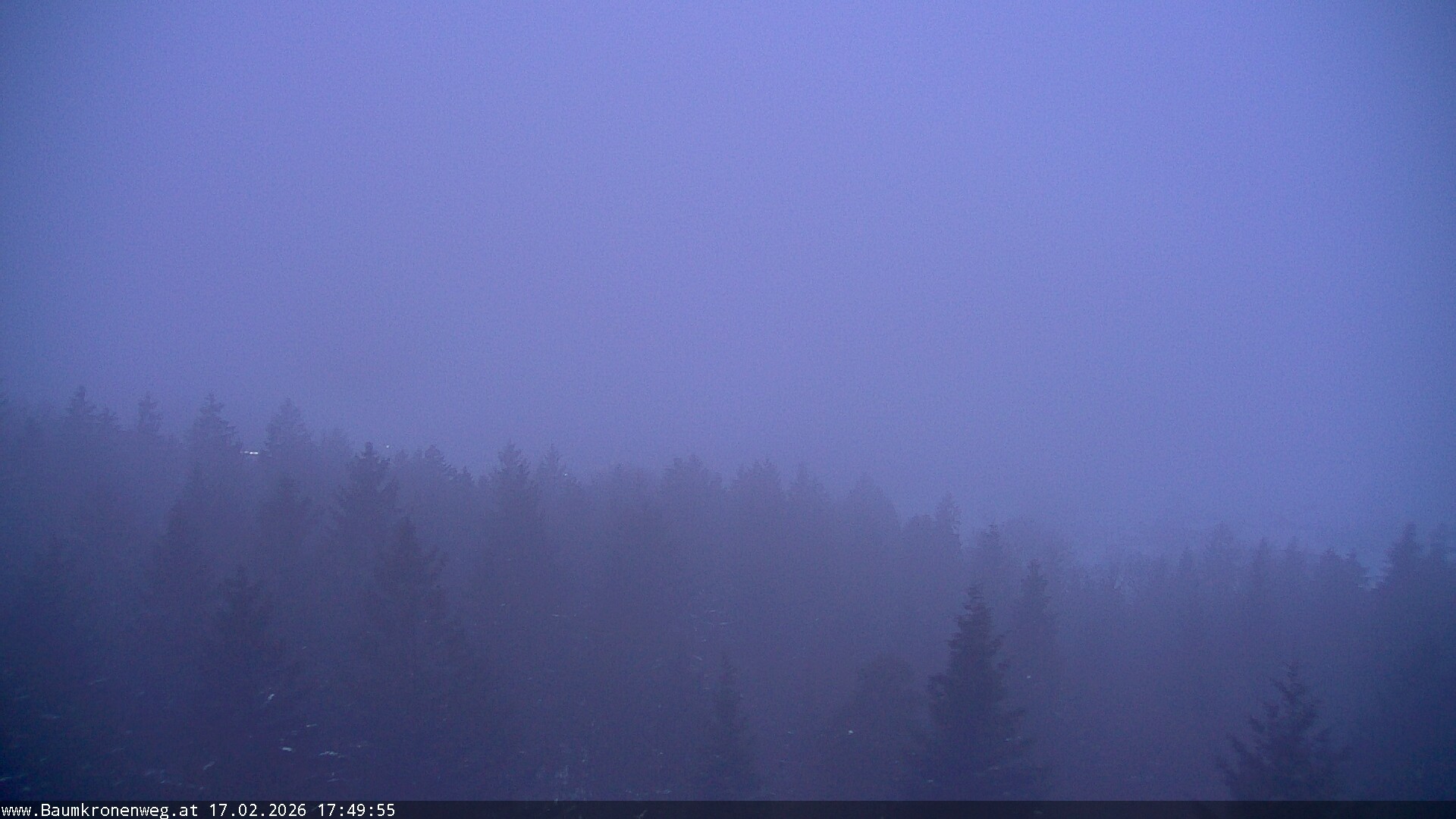 Archiv Foto Webcam Erlebnisturm Baumkronenweg Kopfing