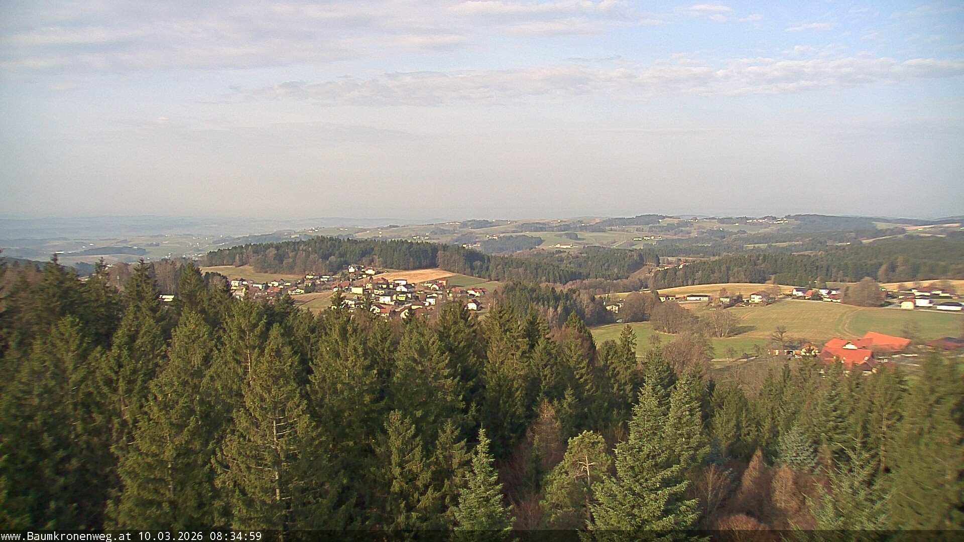 Archiv Foto Webcam Erlebnisturm Baumkronenweg Kopfing
