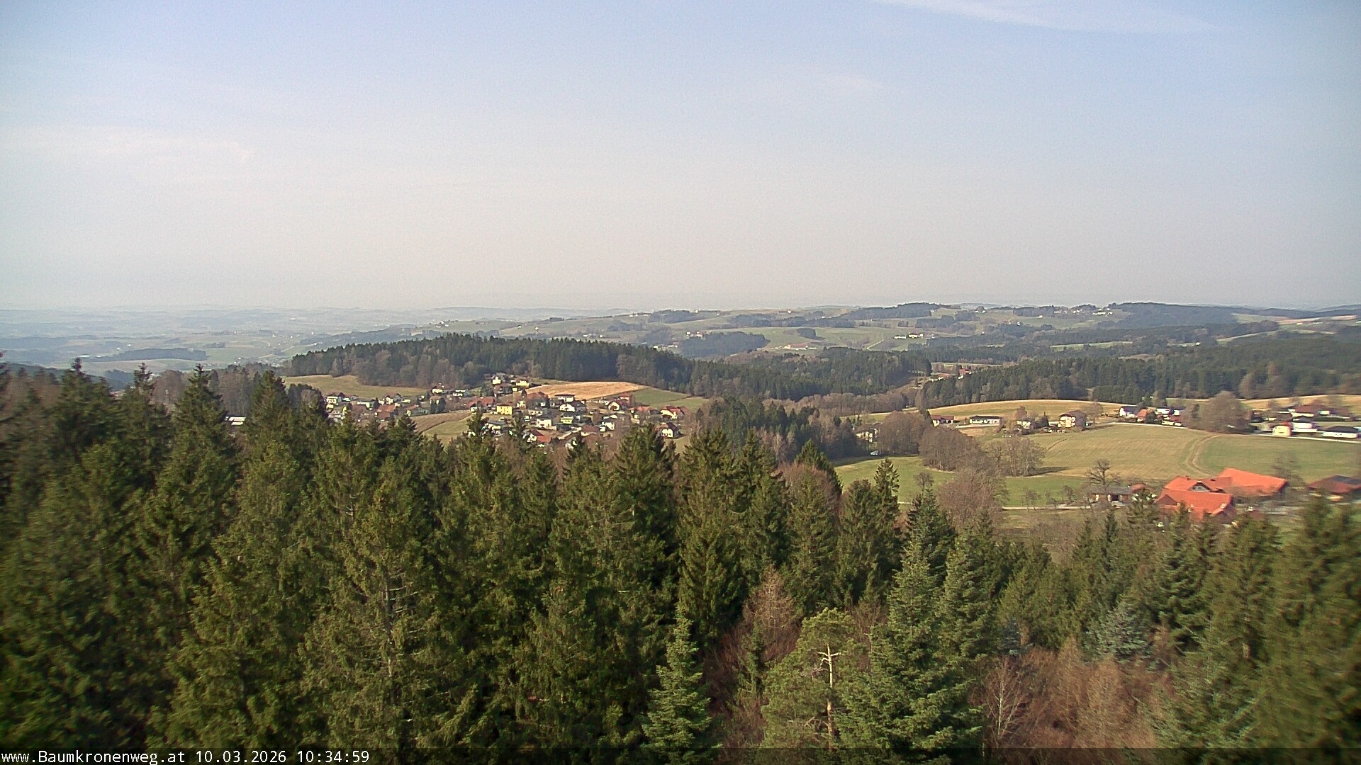 Archiv Foto Webcam Erlebnisturm Baumkronenweg Kopfing