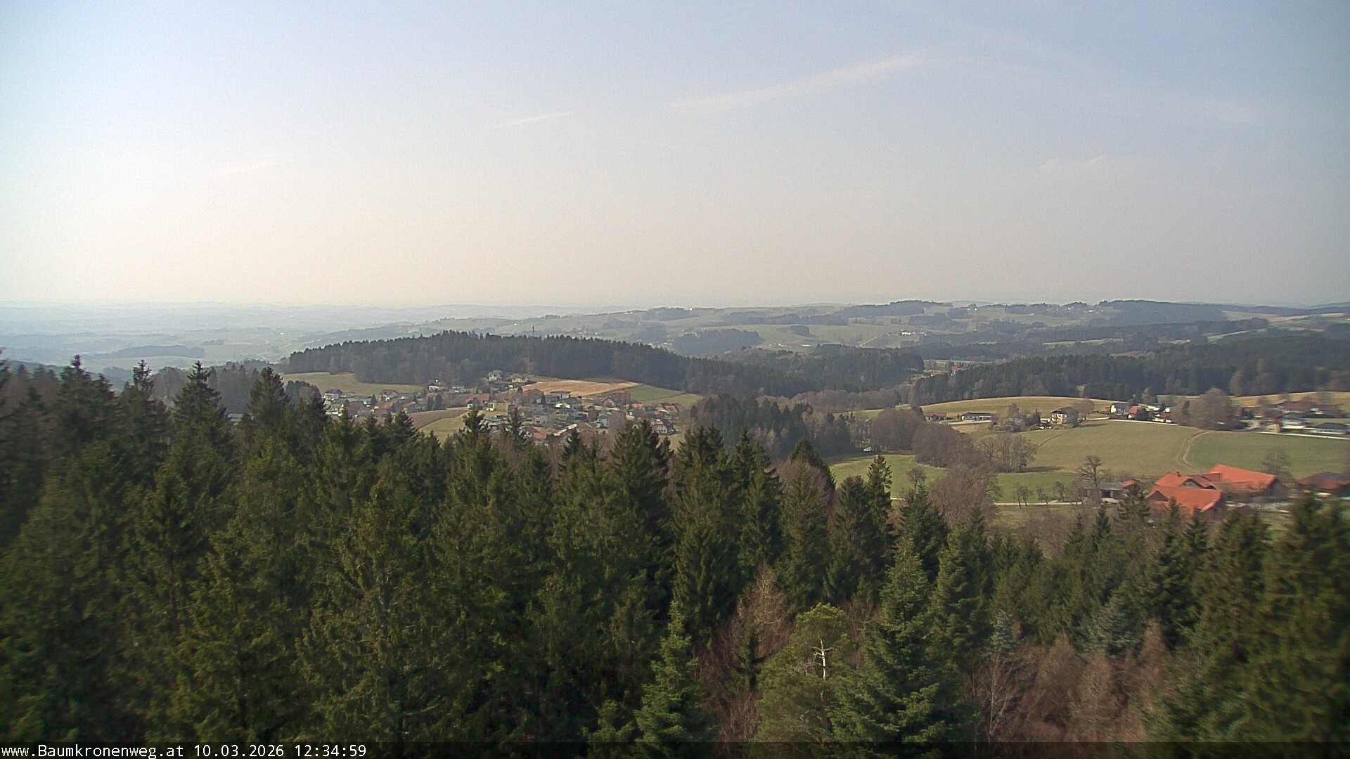 Archiv Foto Webcam Erlebnisturm Baumkronenweg Kopfing
