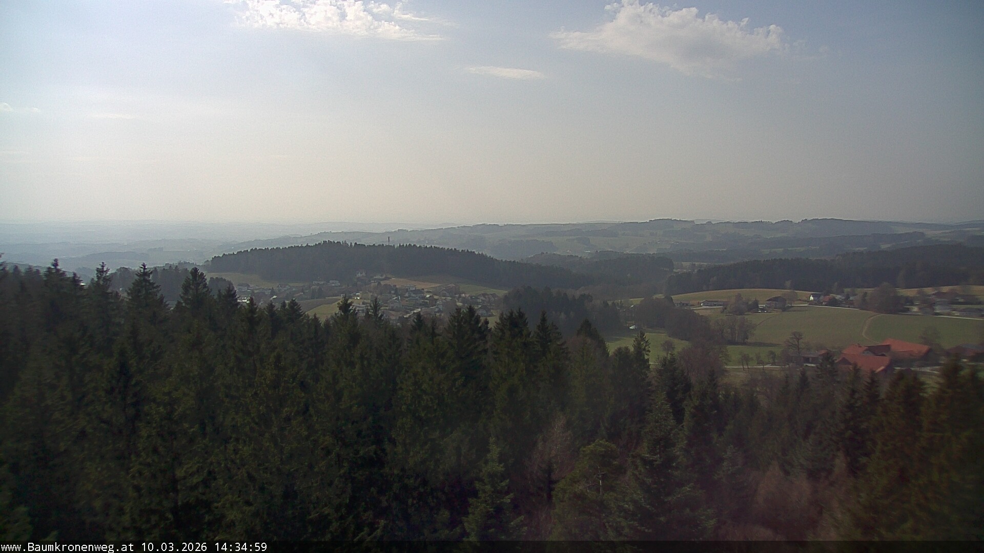 Archiv Foto Webcam Erlebnisturm Baumkronenweg Kopfing