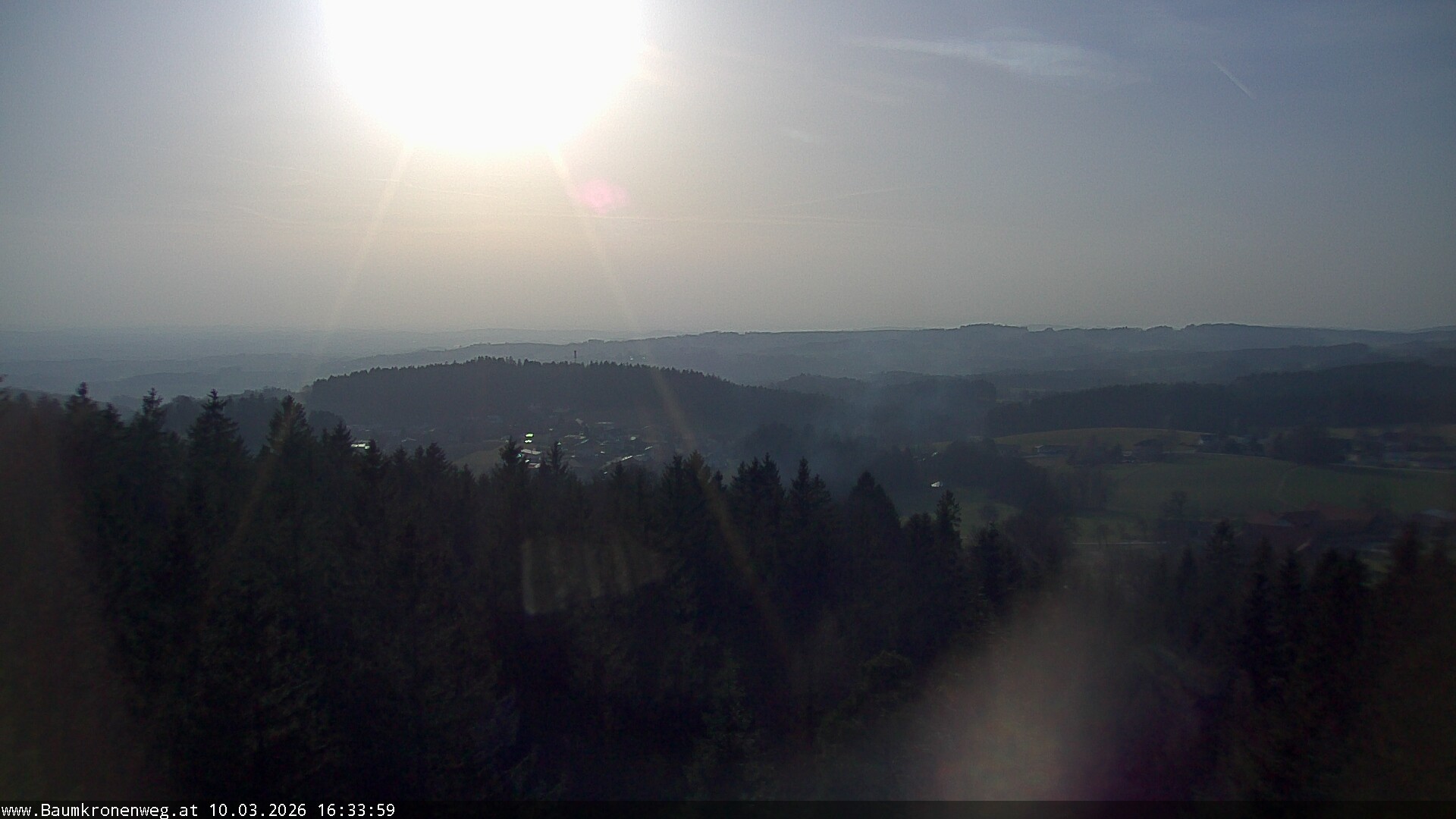 Archiv Foto Webcam Erlebnisturm Baumkronenweg Kopfing