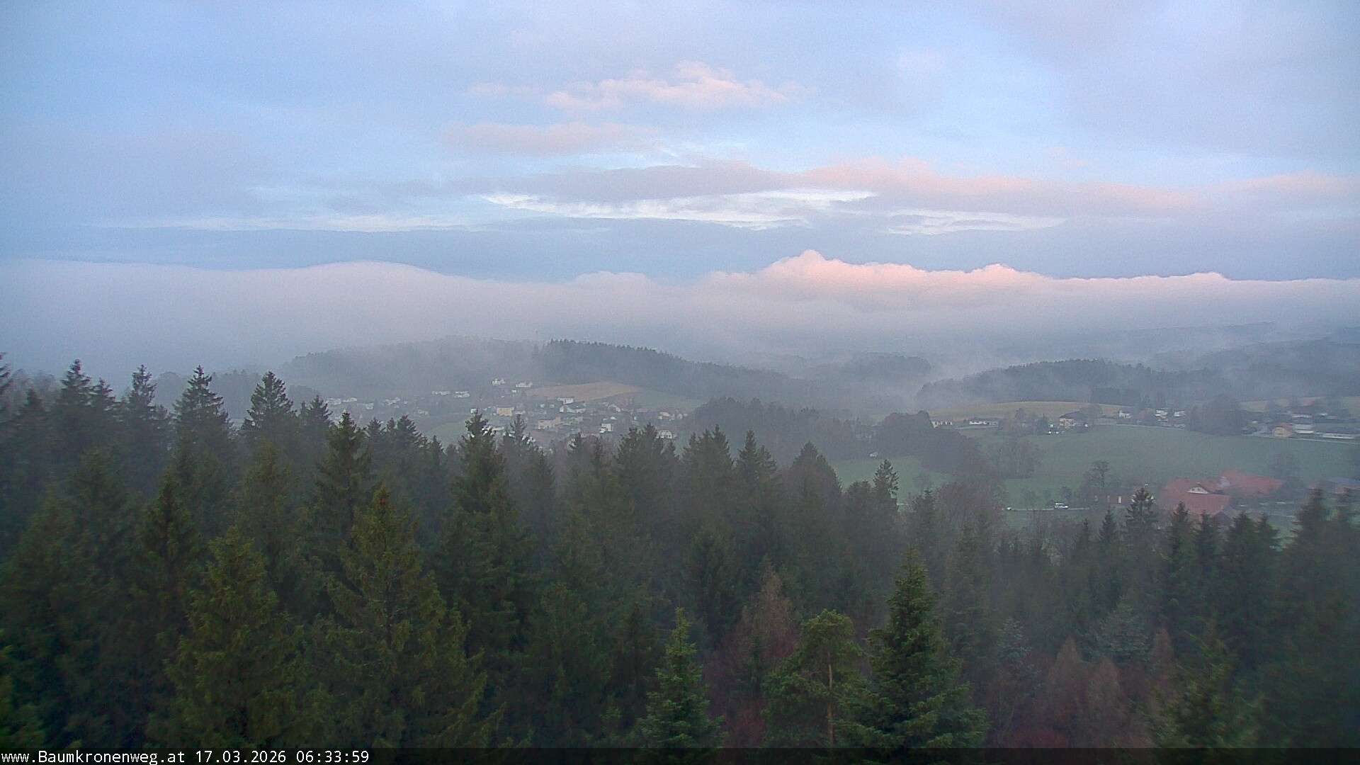 Archiv Foto Webcam Erlebnisturm Baumkronenweg Kopfing